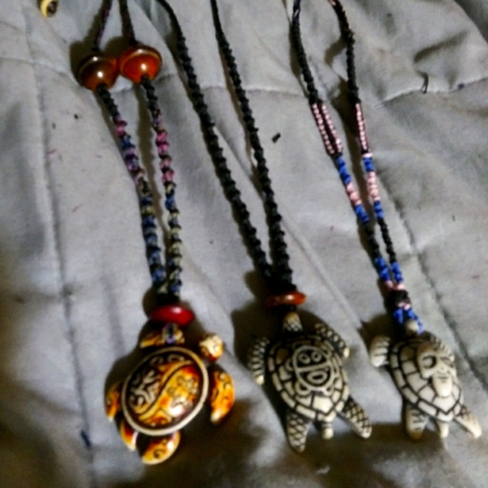 Cute little turtles